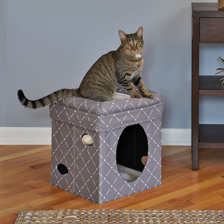 Midwest 2025 cat condo